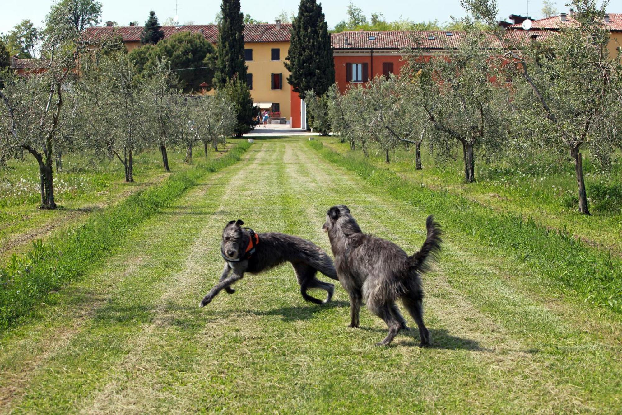 Agriturismo La Filanda مانربا ديل جاردا المظهر الخارجي الصورة